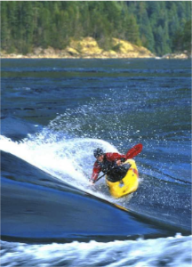 stacks_image_8215763A-3522-4A7E-8FC9-4612B79DE9BB