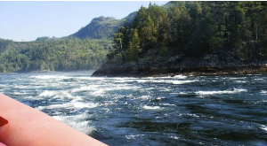 stacks_image_0195C8D2-7811-4E5F-9565-7A3616AEF198